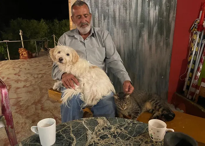 Art Kefalonia 게스트하우스