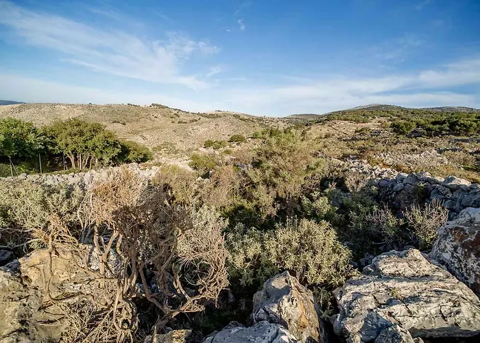 게스트하우스 Art Kefalonia