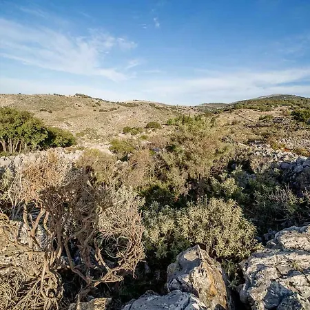 Πανσιόν Art Kefalonia
